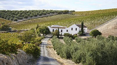 Gourmet Tour in Southern Spain