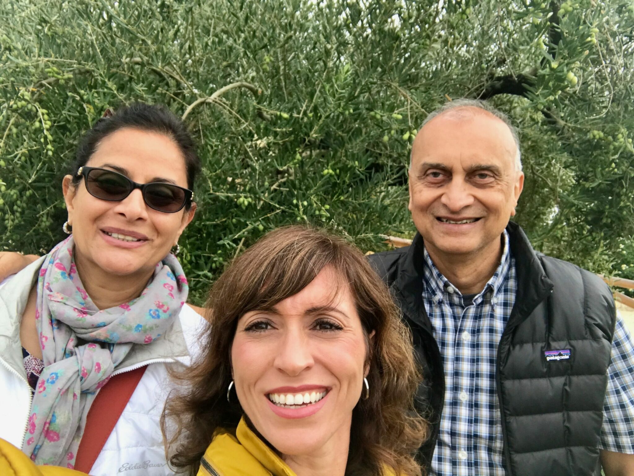 Raj & Bina Swami, Giorgia-USA. Autumn 2018