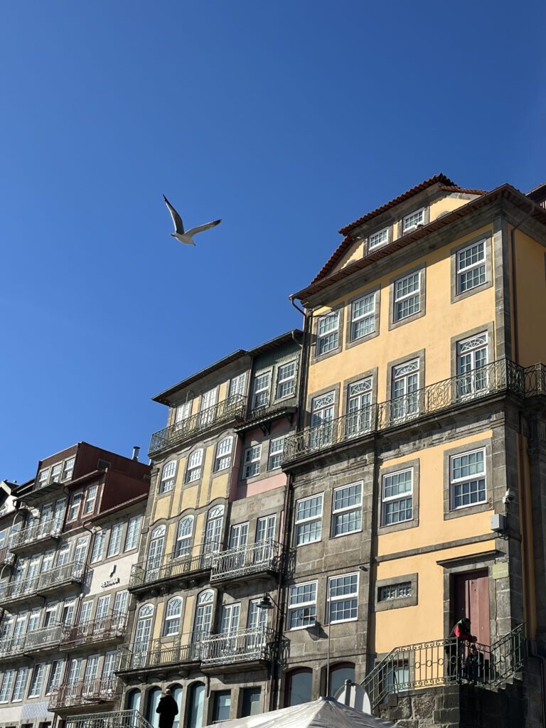 Picturesque buildings of Porto