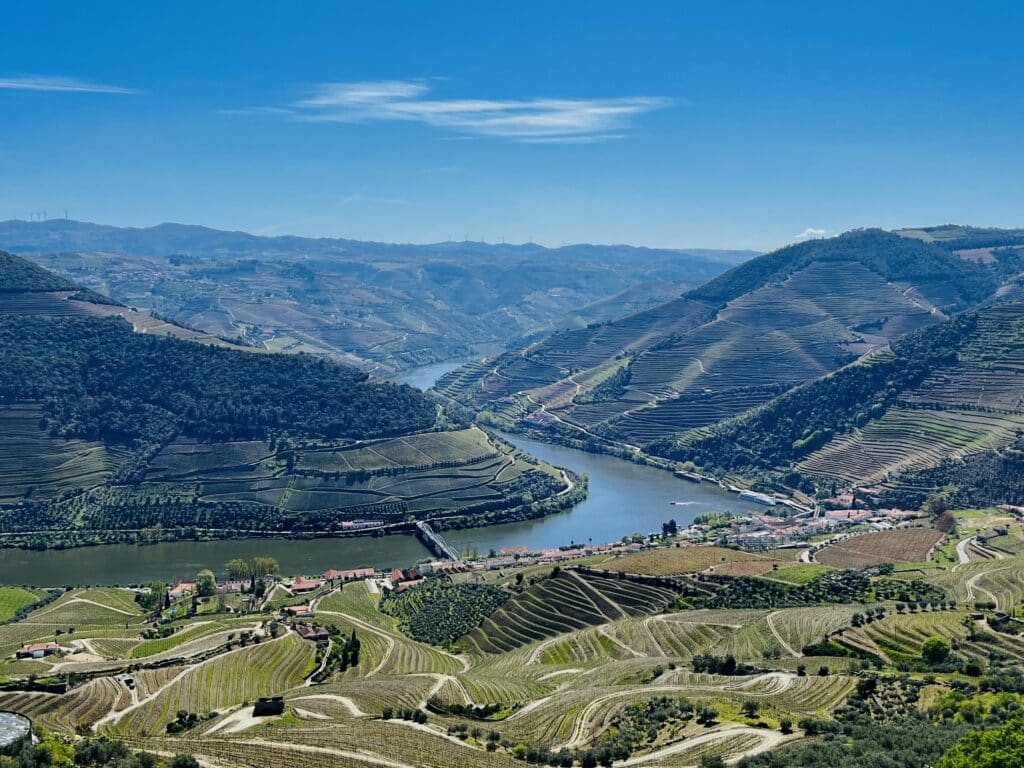 Terraced vineyards and the sinuous river running through the Douro Valley