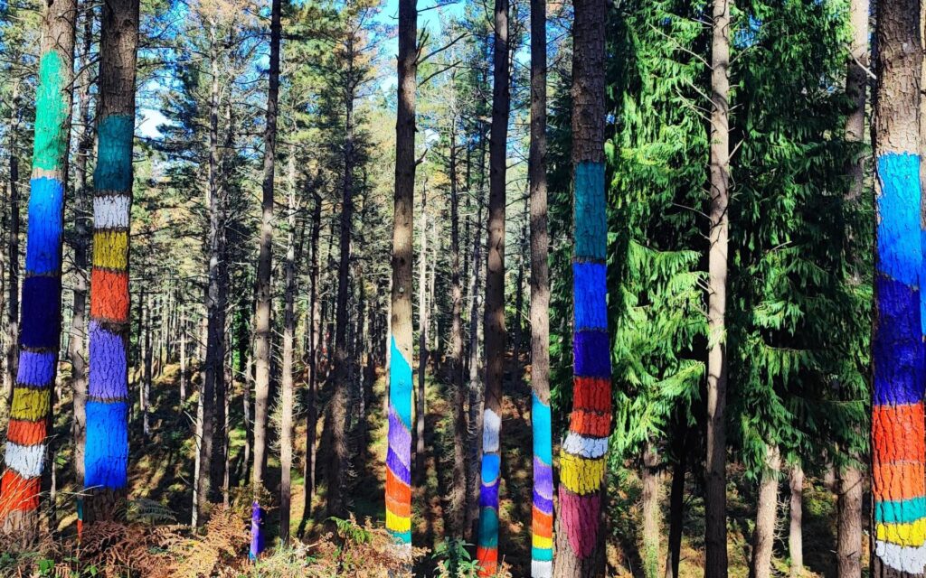 Painted tree art at the Forest of Oma