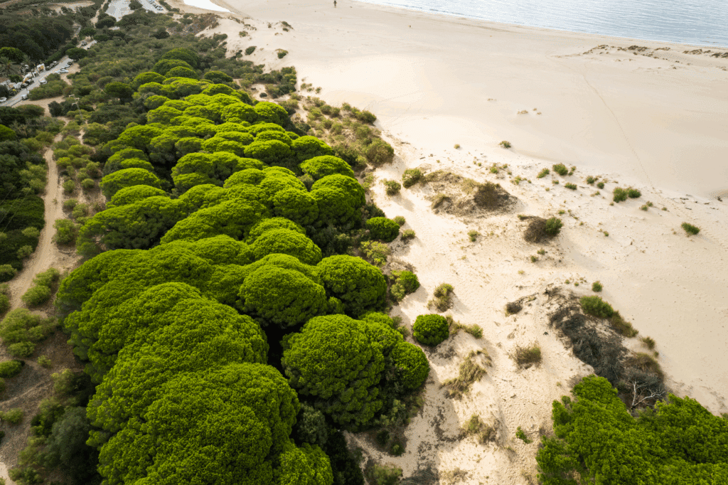 The sand dunes of Tarifa