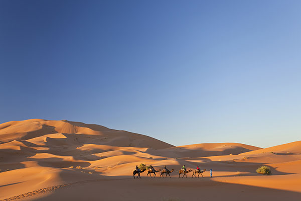 tuareg man leading camel train through the sahara 2026 03 25 08 23 36 utc